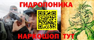 шишки Ипатово